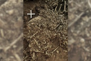 5000 metų kape aptiko mirtiną senovinę grėsmę: tai naikino civilizacijas