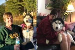 Haskis pasirodė įžvalgesnis už medikus ir išgelbėjo šeimininkei gyvybę