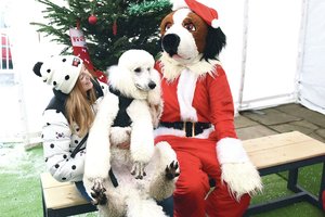 Tūkstantmečio karta popindama keturkojus repetuoja tėvystę