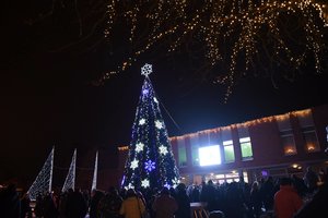Trakuose įžiebta kalėdinė žaliaskarė