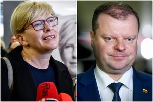 Reitingai: I. Šimonytės populiarumas nesustoja augęs, liūdnos prognozės S. Skverneliui