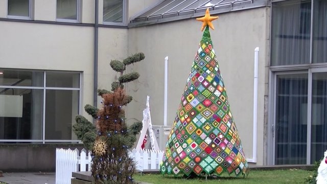 Vienintelė tokia Lietuvoje – nerta Kalėdų eglutė