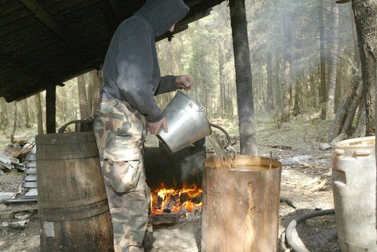 15 metų neranda sutarimo – vėl pešasi dėl naminukės legalizavimo