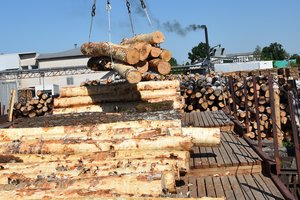 Miškininkai vienijasi – ragina atsižvelgti į mokslininkų rekomendacijas