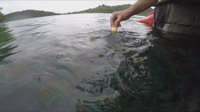 Egzotiškoje šalyje viešėjusį lietuvį nustebino vandenyje pamatytas reginys