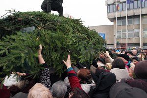 Miškininkai gyventojams dovanos eglių šakas