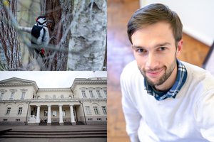 Ornitologas parodė neregėtą Vilnių: sunku patikėti, kas vyksta sostinės centre