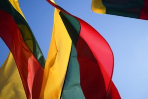 Padėtį šalyje teigiamai vertina vos trečdalis apklaustųjų