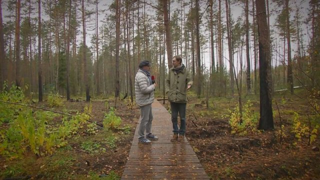 Naujas būdas praturtėti: kerta saugomą mišką – Europa primoka