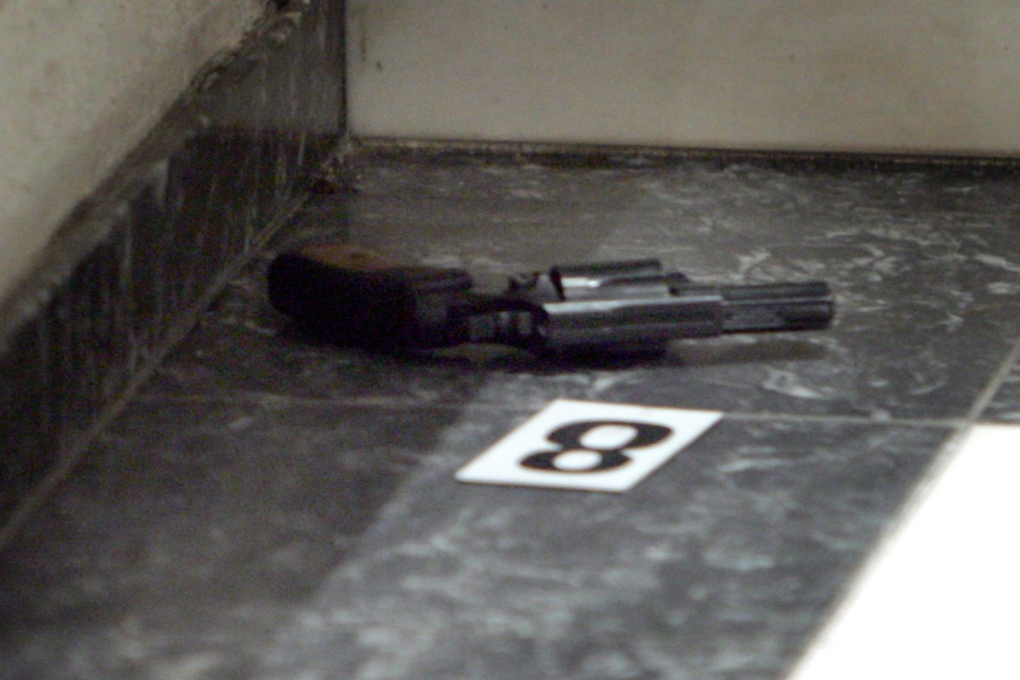 Dėžėje buvo rastas revolveris.<br>V.Balkūno asociatyvi nuotr.