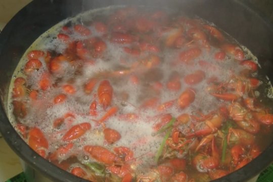 Per dešimtmetį svetur pasisemta patirtis lietuviui atnešė sėkmę Lietuvoje