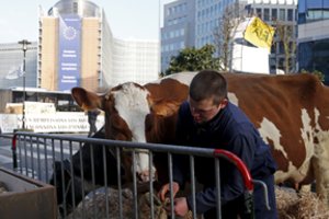 Žemdirbiai vėl ima Briuselį – dėl tiesioginių išmokų nenusileidžia