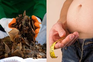 Pasienyje sulaikyti kontrabandiniai produktai, kuriais žmonės gydo vėžį ir impotenciją