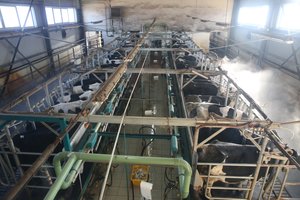 Ūkininkus pasieks valstybės parama už gyvulius