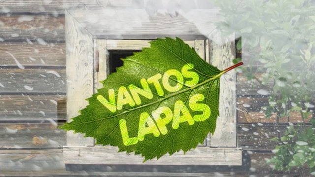 Vantos lapas 2018-12-15