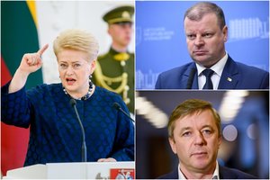 Apklausa atskleidė, ko lietuviai nori iš D. Grybauskaitės: išsakytų piktų žodžių nepakanka