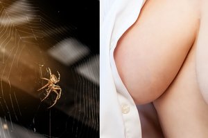 Rado vorų ir žmonių panašumų: vieną intymų veiksmą darome identiškai