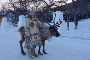 Neįtikėtina paslauga Sibiro platybėse: žmonės šventėms gali išsinuomoti elnią