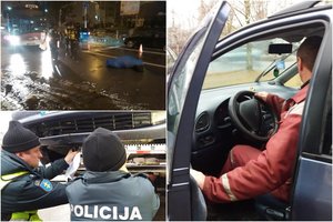 Po tragiškos senolės mirties – anūko sielvartas: netiki, kad teismas taip nubaudė autobuso vairuotoją