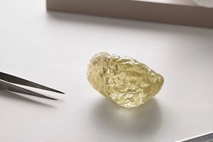 Kanadoje aptiktas įspūdingas radinys, tikėtina jo kaina – keli milijonai