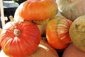 Moliūgai – ne tik rudens gėrybė: žiemą jie ir maistas, ir vaistas