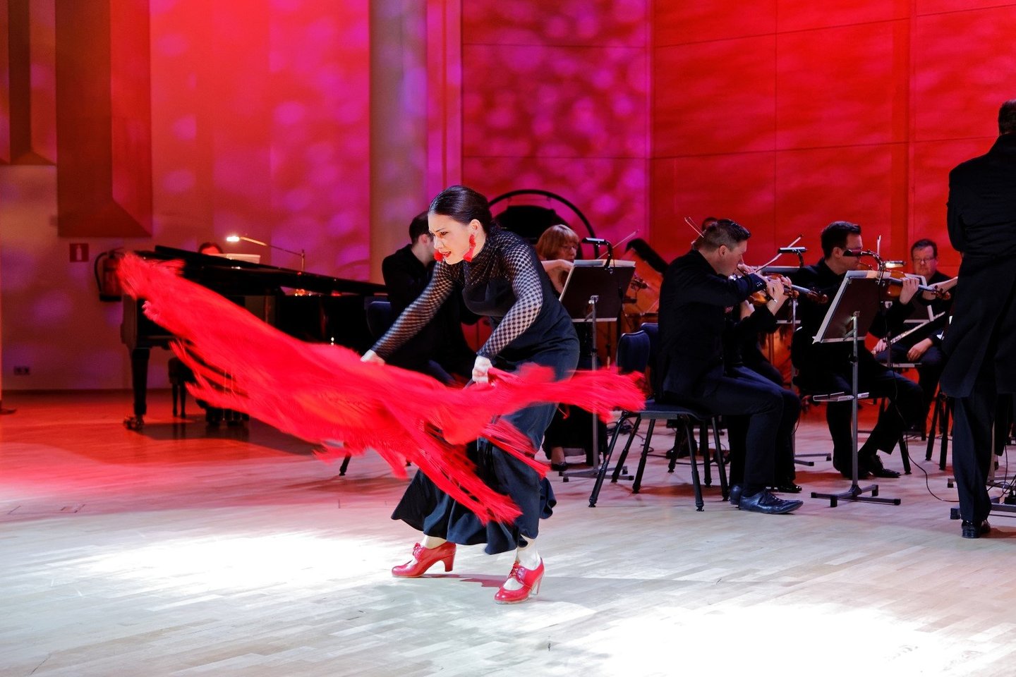  Šoka M.de Flamenco.<br> Organizatorių nuotr.