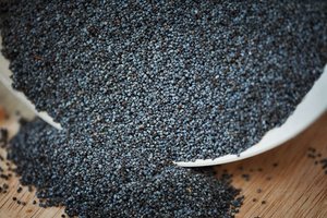 Lietuviai nuo parduotuvių lentynų šluoja aguonas – specialistė atskleidžia priežastį