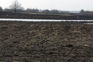 Auditoriai: kovoje su dykumėjimu ES priemonėms trūksta nuoseklumo