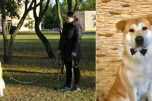 Karalienės iš Kėdainių – ir šuo karališkas: susijaudina pašauktas gražuoliu