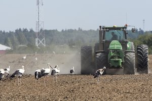 G. Surplys: kol kas kalbama ne apie žemės ūkio finansavimą, bet apie ambicijas