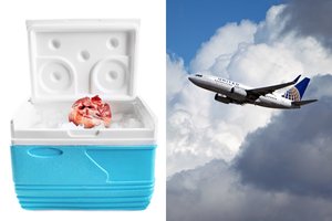 Neįtikėtinas išsiblaškymas: lėktuve pamiršo žmogaus širdį