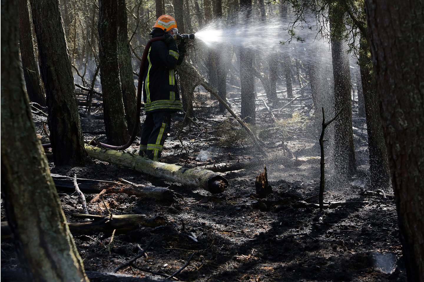 20 kartų mišką padegęs vyras sės į kaltinamųjų suolą.