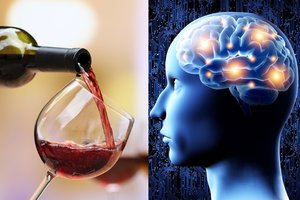 Kas iš tiesų vyksta smegenyse, kai sąmonę aptemdo alkoholis