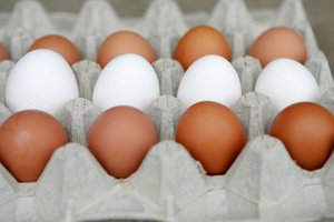 Albanijos premjeras parlamente apmėtytas kiaušiniais