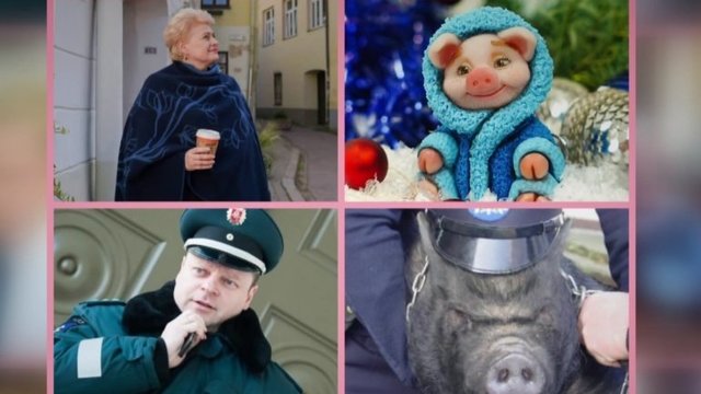 Politikai virto kiaulėmis: lietuviškasis Kenas pasidalijo pašiepiančiu koliažu 