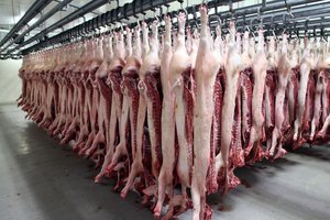 Lenkams nutraukus lietuviškos kiaulienos importą, užtarimo ieškos EK