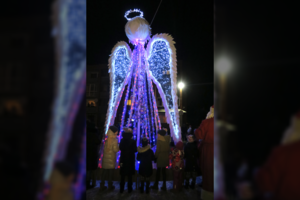 Šiaulių rajone eglutės nesulaukė – gyventojus nustebino netikėta naujovė