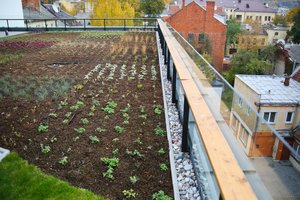 Miestuose – dirbtinės pelkės, bet ginantis nuo liūčių nė jų nepakaks 