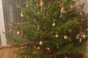 Eglučių puošimo tendencijos Lietuvoje keičiasi – taip žaviai