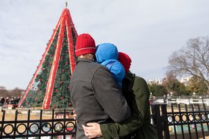 Vašingtone vyras ropštėsi į Kalėdų eglutę prie Baltųjų rūmų