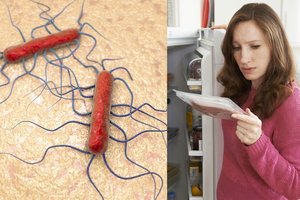 Europoje plinta mirtinai pavojinga liga: užkratas gali slypėti ir jūsų šaldytuve