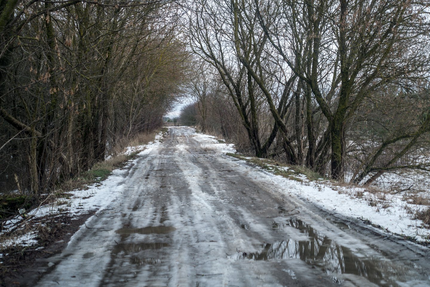 Sinoptikai per šventes žada plikledį, lijundrą ir rūką.