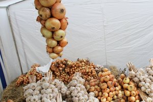 Stichijų pasekmės: svogūnų derlius – mažiausias nuo 2006 metų
