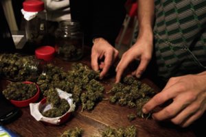 Tailando parlamentas legalizavo marihuanos vartojimą medicininiais tikslais