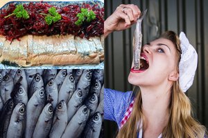 7 faktai apie silkes: visi jas valgėte, bet ar susimąstėte, kas tai per žuvis?