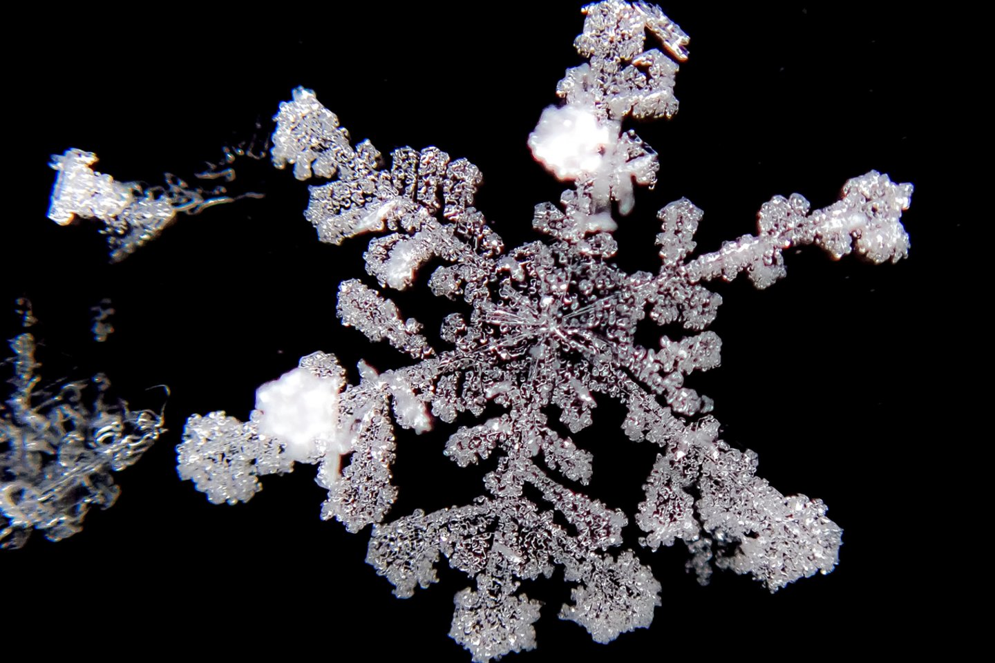 Šaltuką pakeitė teigiama temperatūra.<br>V.Ščiavinsko nuotr.