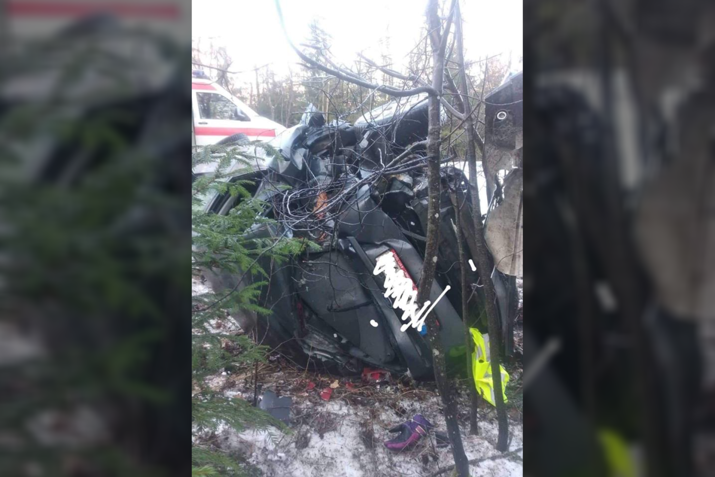 Kretingos r. į medžius sudužo automobilis, kuriuo buvo vežami trys berniukai.