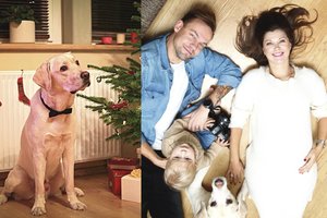Vilniečio fotografo šeimos metus skaičiuoja atvirukai su šunimi
