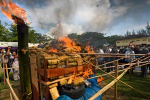 Indonezijoje sudegintas kalnas marihuanos