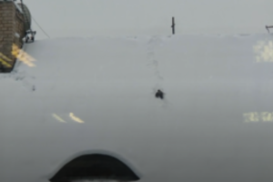 Ant Vilniaus senamiesčio namo stogo – netikėtas vaizdelis